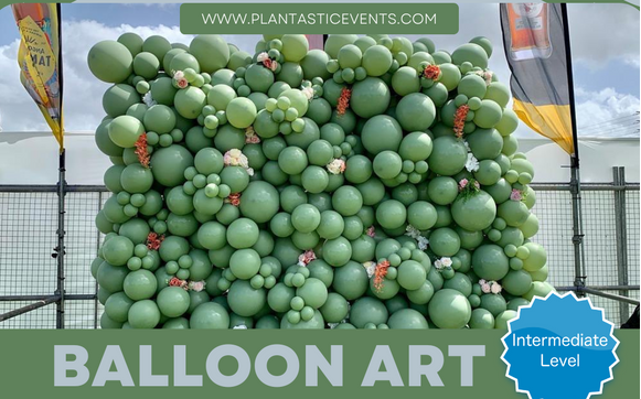 Balloon Art Classes by Plantastic Events LLC