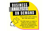 Business Analysis Services by EGI Inc.