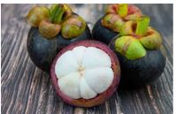New delivery system for the Mangosteen.  Backed By Science by Manna International Trading 