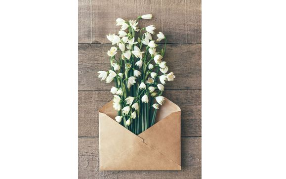 Visit Our Etsy Store by Peonies & Promises