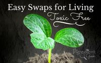 Swapping Toxins for Healthy Options by The Ingredient Geek - Natural Non Toxic Living