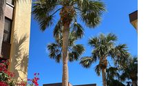 Relocation Services by EXP REALTY-Carolyn Francis