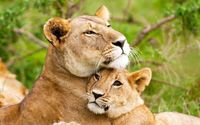 Exotic Destination Travel by RE Tour and Travel