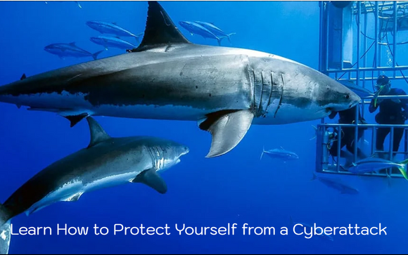 Employee Cybersecurity Awareness Training  by Starphyre Digital Security Services