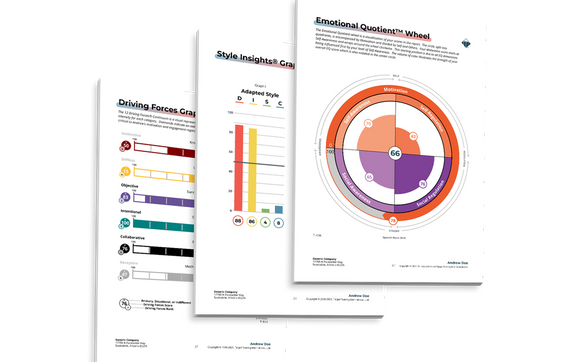Psychometric Assessments by Adapt Engage Inspire LLC