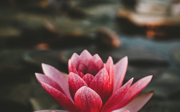 Transformational Coaching by Jean Jung Coaching