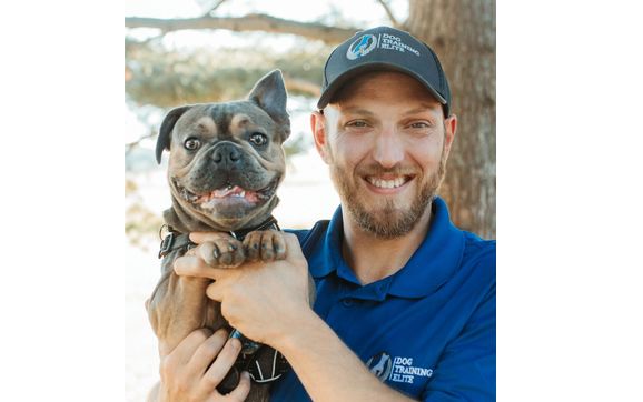 In home dog training  by Dog Training elite