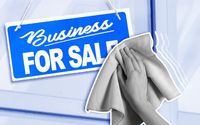 Get Your Business Ready to Sell... Painlessly by Doublet Management Consulting Ltd.