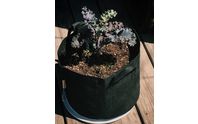 Grow Kits by Chicago Grows Food