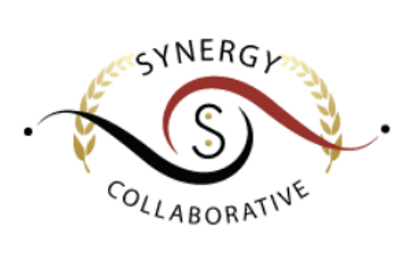 Synergy Collaborative MEMBERSHIP by BRAD MagicBrad GUDIM