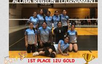 Volleyball Coaching  by Kulia Volleyball Club (Coach)