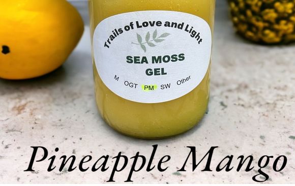 Pineapple Mango Sea Moss Gel by Trails of Love and Light Sea Moss in ...