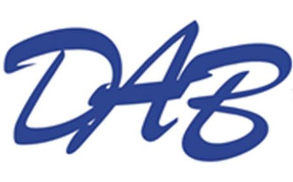 Fractional CIO Services by DAB Enterprises, LLC