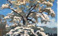 Painter by Spencer Meagher Fine Art Studio / Gallery