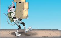 Fine Art by Freelance Artist
