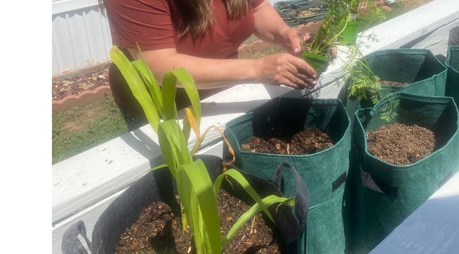 Volunteering Opportunities by Love Bears All, Inc