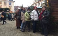 Cruises by Ginny's Getaways