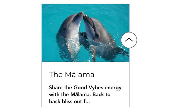 Couples Massage-The Malama by Good Vybes Massage