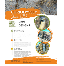 CuriOdyssey: The Magic of Collaboration by Hakuna Matata Vibes