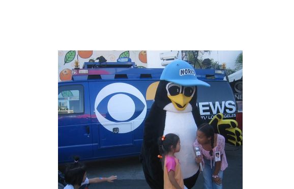 Live Events by NORKY THE PENEAGLE