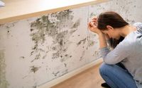 Mold Inspections by CAL-SPEC HOME INSPECTIONS