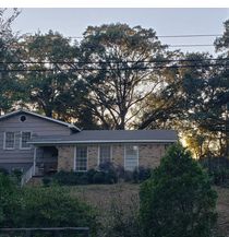 Tree Trimming and Removal  by T&D Professional Tree Removal