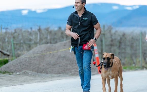 Pet Care Supplies by Doggie Don't Inc