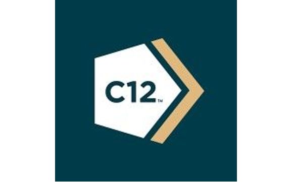 Executive Coaching by C12 IN
