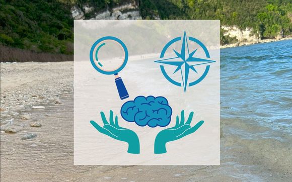 Cash Flow Advising by Vicki Holman Coaching