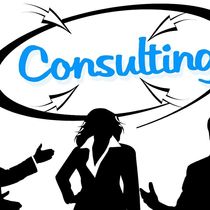 Consulting by Nik's Entrepreneurial Service, LLC