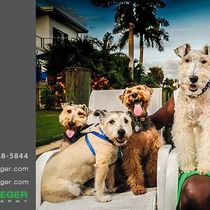 Gift Certificates by salem krieger photography - motion