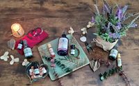 Soul Health Essentials-- The Oils of Evolution by Dr. Katherine T. Kelly, Ph.D., M.S.P.H.