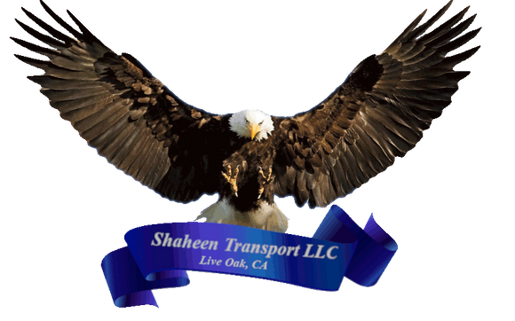 Shaheen Transport LLC by Shaheen Transport llc