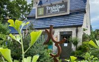 House Plants by Tangletown Gardens