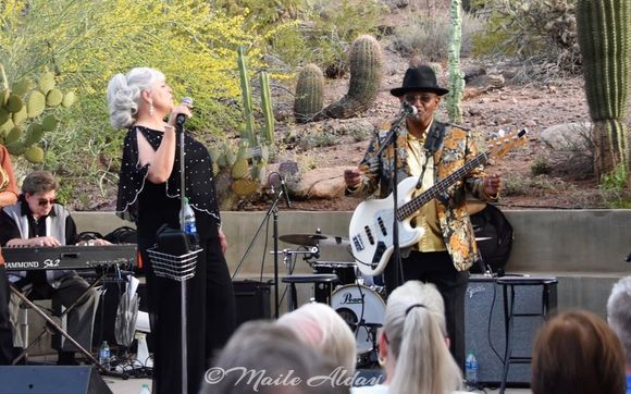 Bluesman Mike & TBRB @ What's Crackn (480-264-6832) by Bluesman Mike & The Blues Review Band