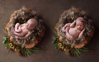 Newborn Sessions by Paige Porchia Photography