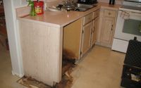 Mold Remediation by Saviour's Restoration LLC