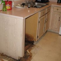 Mold Remediation by Saviour's Restoration LLC