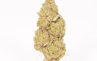THCA flower by Enjoy Hemp