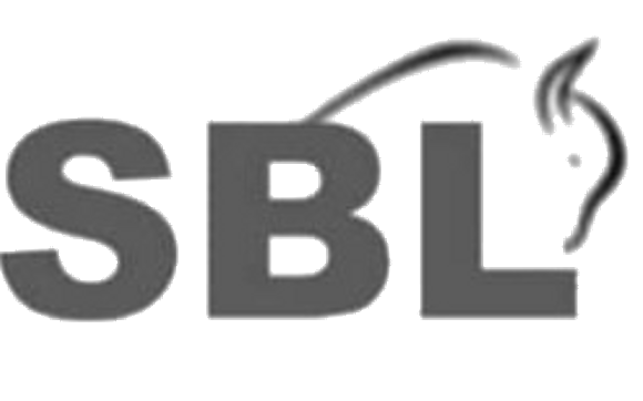 Goal Setting and Accountability Support by ActionCOACH SBL
