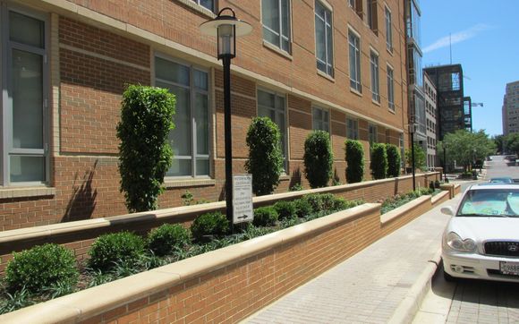 Commercial Landscaping by Sunrise Landscape + Design