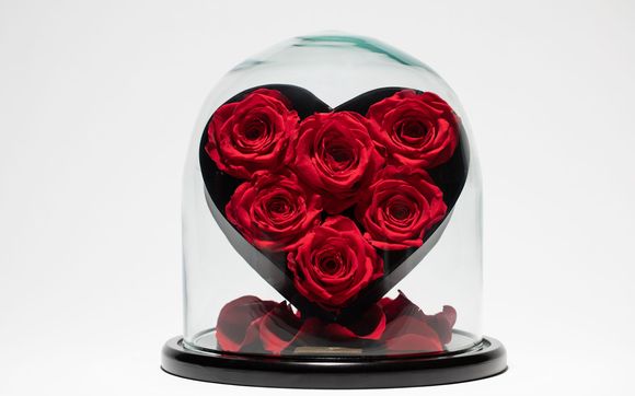 Heart Dome by American preserved flowers