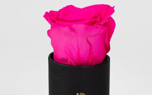 Classic Rose by American preserved flowers