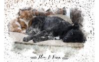 Watercolor Print - Pets by Athena Nicole Photography