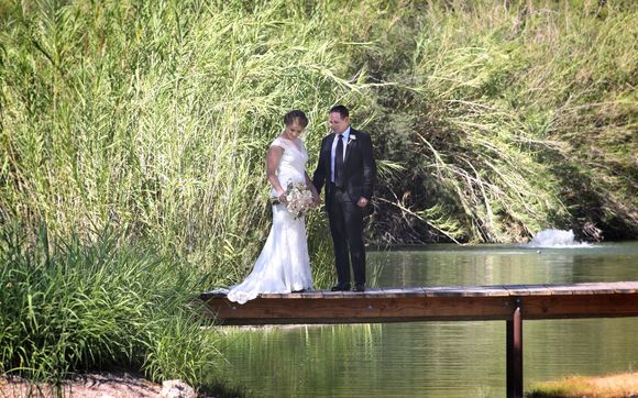 Wedding Photography by Pollack Studio