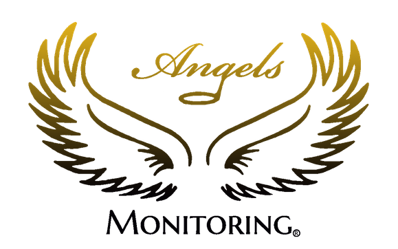 Professional Monitoring by Angels Monitoring SFV 