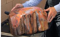 Rainbow Petrified Wood by Rainbow Petrified Wood, LLC