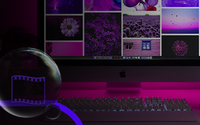 Motion Design and Video by Julia O'Reilly Design Studio