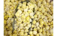 GiGi's Gourmet Drizzle Popcorn Flavors by GiGi's Gourmet Popcorn