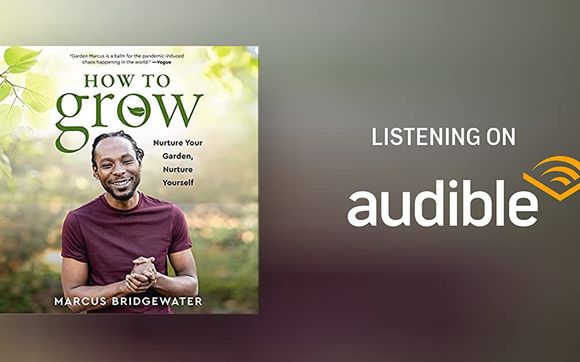 Book to pick up while it is growth season by TNTBS MEDIA INC